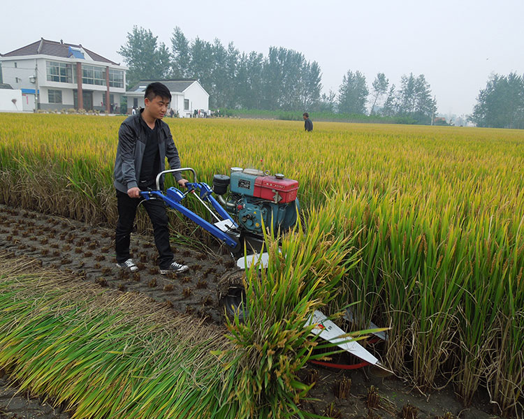 自動水稻收割機(jī) 小型